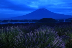 初夏の富士山