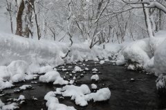 冬の木谷沢